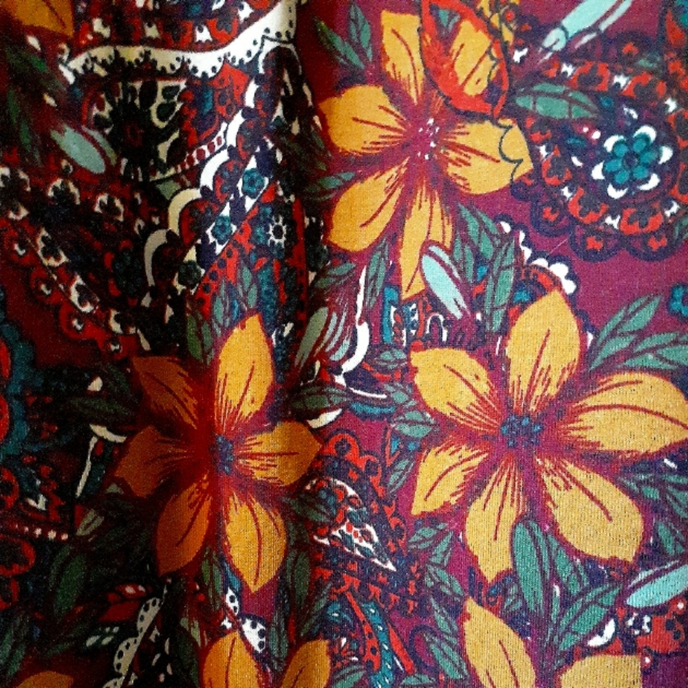 Carly High- Low Swing Dress by LulaRoe - Picture 4 of 8